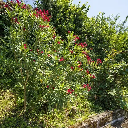 Pays Basque Дом отдыха *