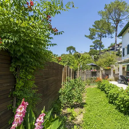 Pays Basque * Бидар