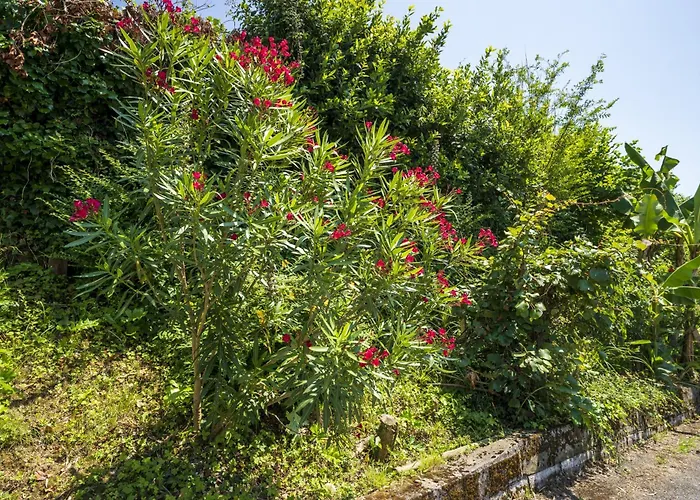 Pays Basque Дом отдыха *