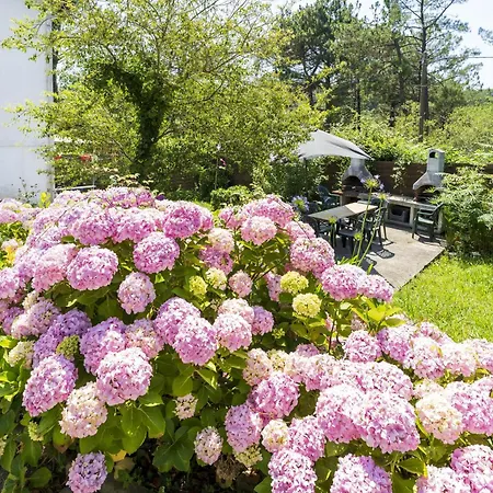 Pays Basque Ferienhaus Bidart
